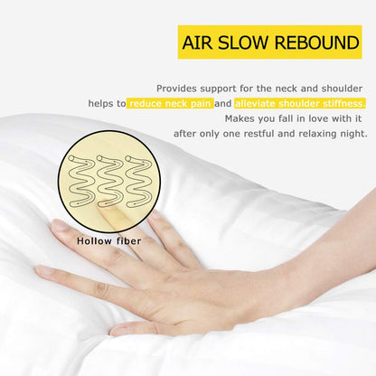 COZSINOOR Cozy Dream Bed Pillows Pack of 4