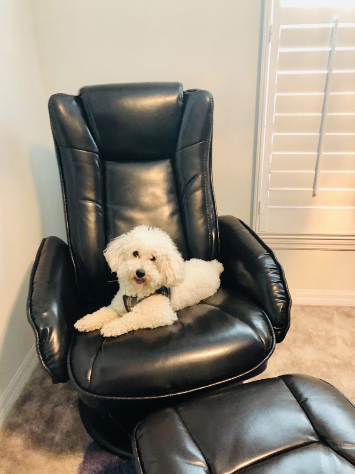 JC HOME Drammen Massaging Leather Recliner and Ottoman with Leather-Wrapped Base,Chocolate