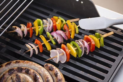 Weber 2-Burner Gas Grill for Outdoor Cooking