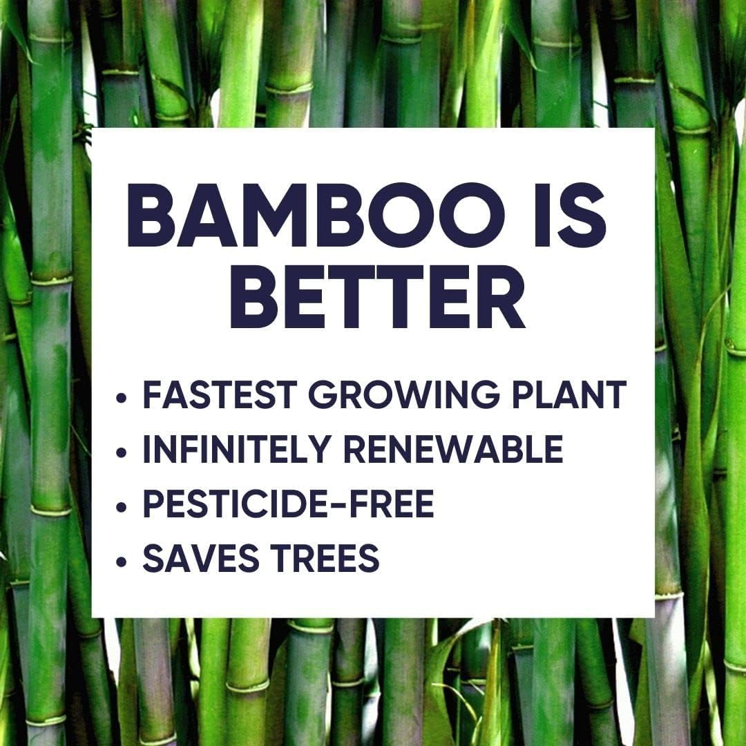 Bamboo Toilet Paper - 24 Rolls, 3-Ply