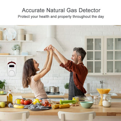 Natural Gas Detector for Home and Camper
