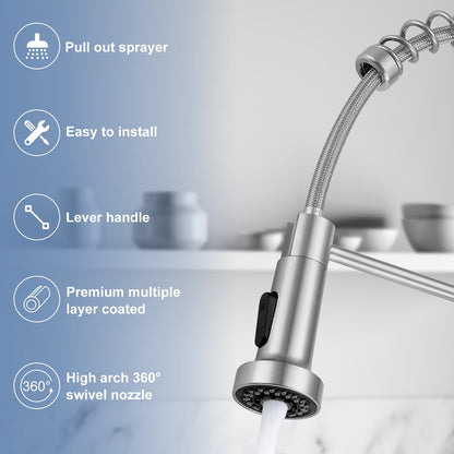 Pull Down Kitchen Faucet with Sprayer by DJS