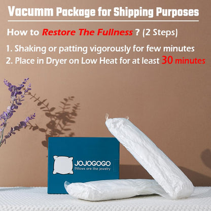 Set of 4 Waterproof Lumbar Pillow Inserts