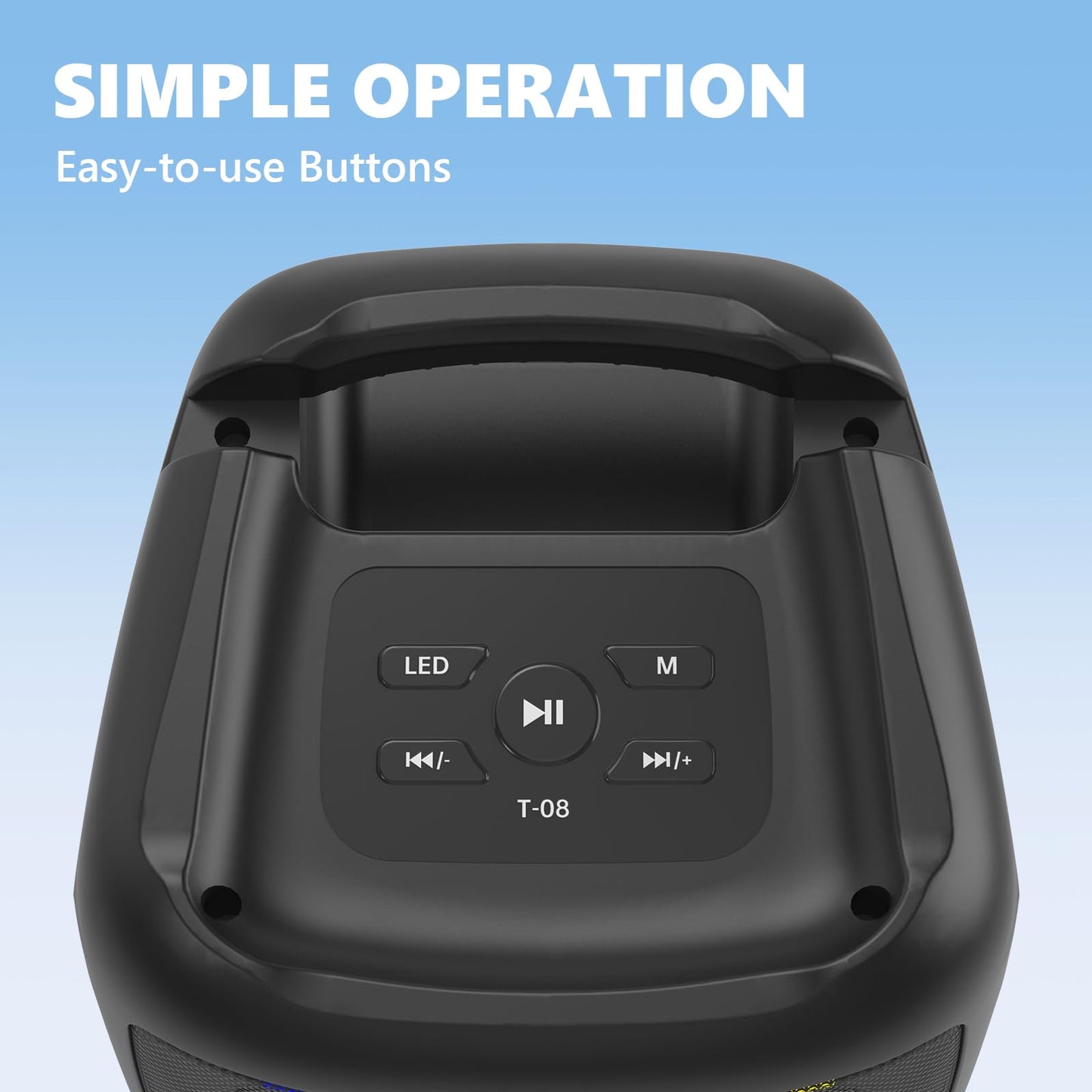 Portable Bluetooth Karaoke Machine with 2 Microphones