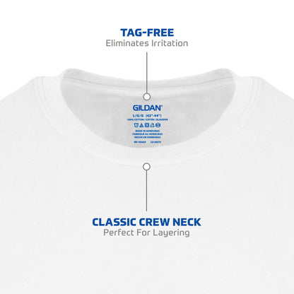 12-Pack Gildan Men's Crew T-Shirts