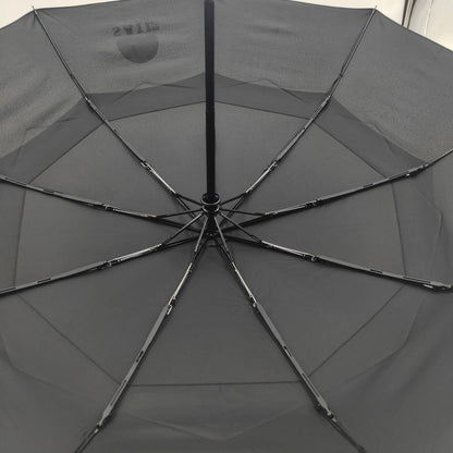 Automatic Open/Close Windproof Travel Umbrella