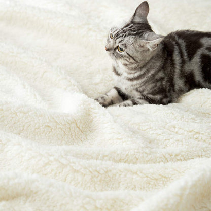 LBRO2M Sherpa Fleece Bed Blanket Queen Size Super Soft Fuzzy Plush Warm Cozy Fluffy Microfiber Couch Throw Velvet Double Reversible Luxurious Blankets,Dark Grey