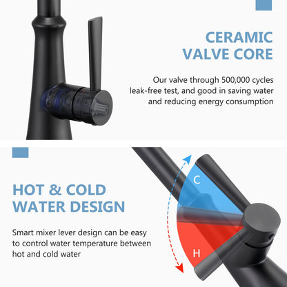 Aktines Matte Black Kitchen Faucet with Sprayer