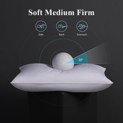 2 Pack Luxury Down Pillows for Sleeping