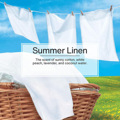 LITTLE TREES Summer Linen Car Air Fresheners - 24 Pack