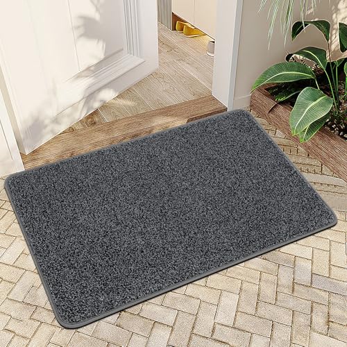 Front Door Mat Non-Slip Absorbent Waterproof Entryway Rug