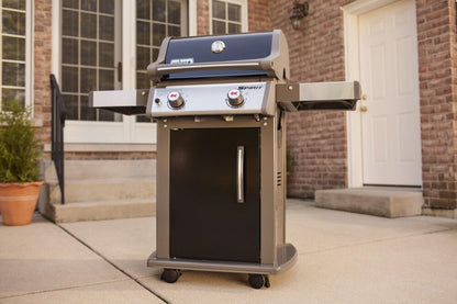 Weber 2-Burner Gas Grill for Outdoor Cooking