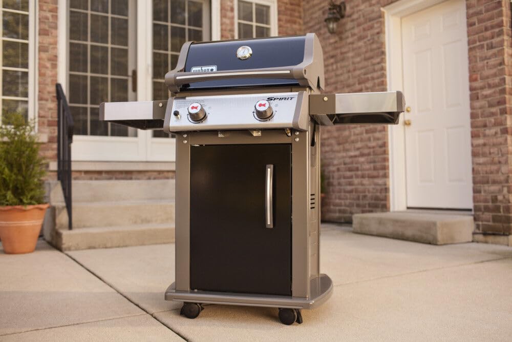 Weber 2-Burner Gas Grill for Outdoor Cooking