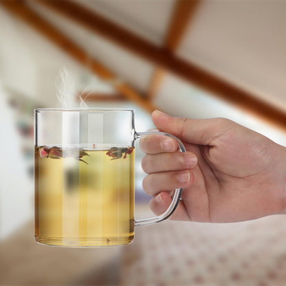 HORLIMER 15 oz Glass Coffee Mugs Set of 6, Clear Coffee Cup with Handle for Tea Cappuccino Latte Milk Juice Hot and Cold Beverages