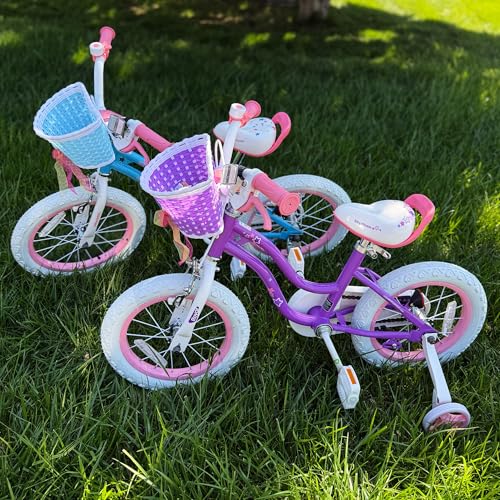 RoyalBaby 18-Inch Girls Bike with Kickstand & Basket