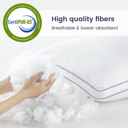 Maxzzz Fluffy Queen Bed Pillows Set of 2