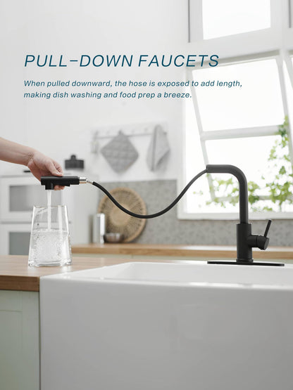 JOOM Black Pull Down Kitchen Faucet with Sprayer