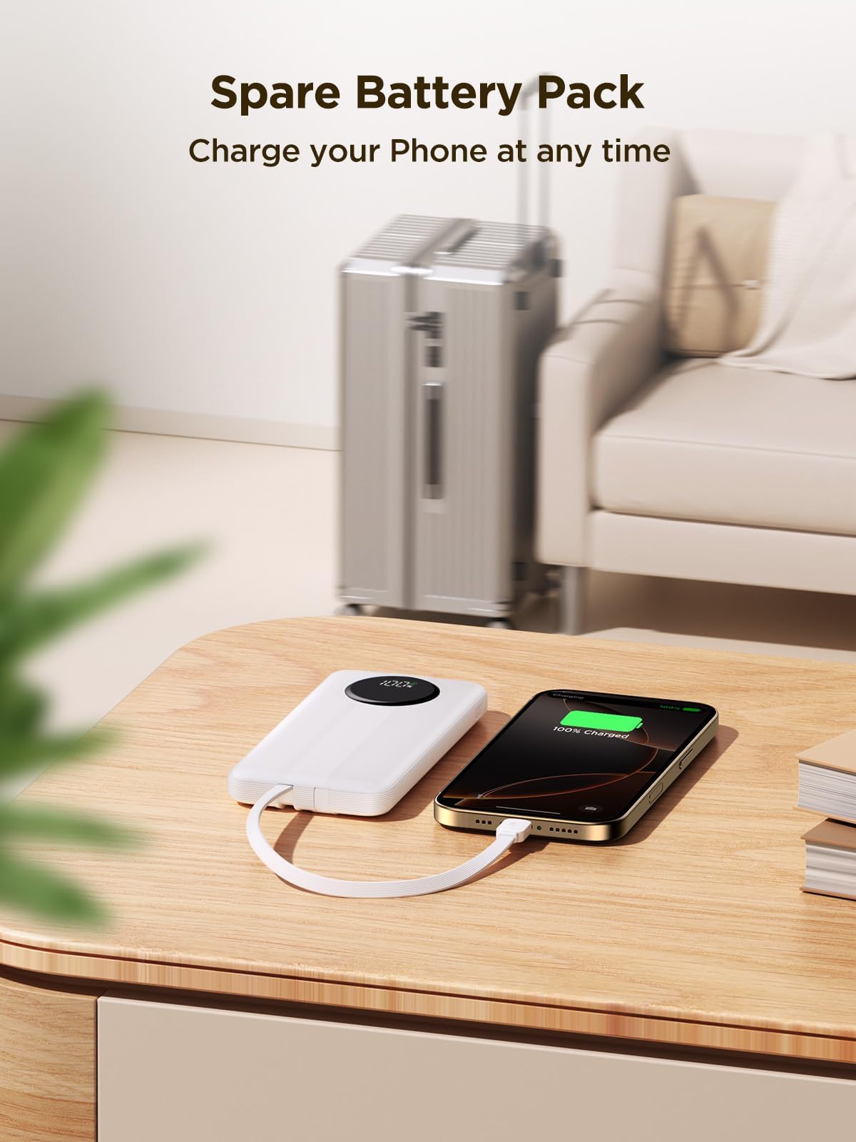 10000mAh Aioneus Portable Power Bank with Cables