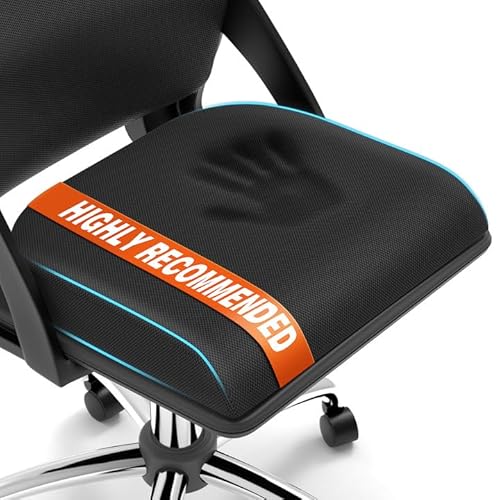 Memory Foam Seat Cushion for Sciatica and Tailbone Pain