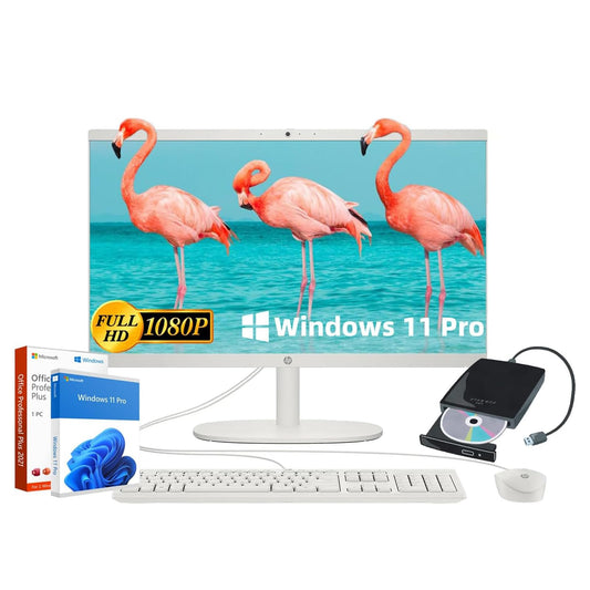 HP 2025 All-in-One Desktop Computer with 32GB RAM