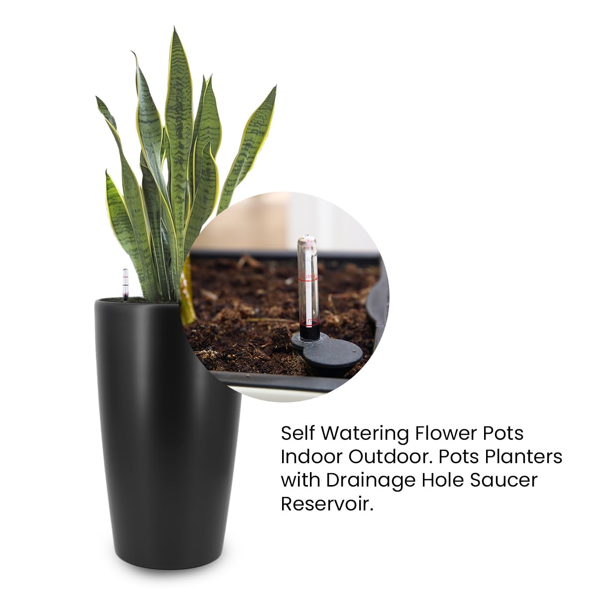 Self-Watering Plant Pot by Liventra, Medium Size