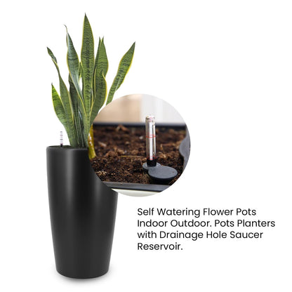 Self-Watering Plant Pot by Liventra, Medium Size