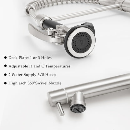 Dual Spout Kitchen Faucet with Pull Down Sprayer