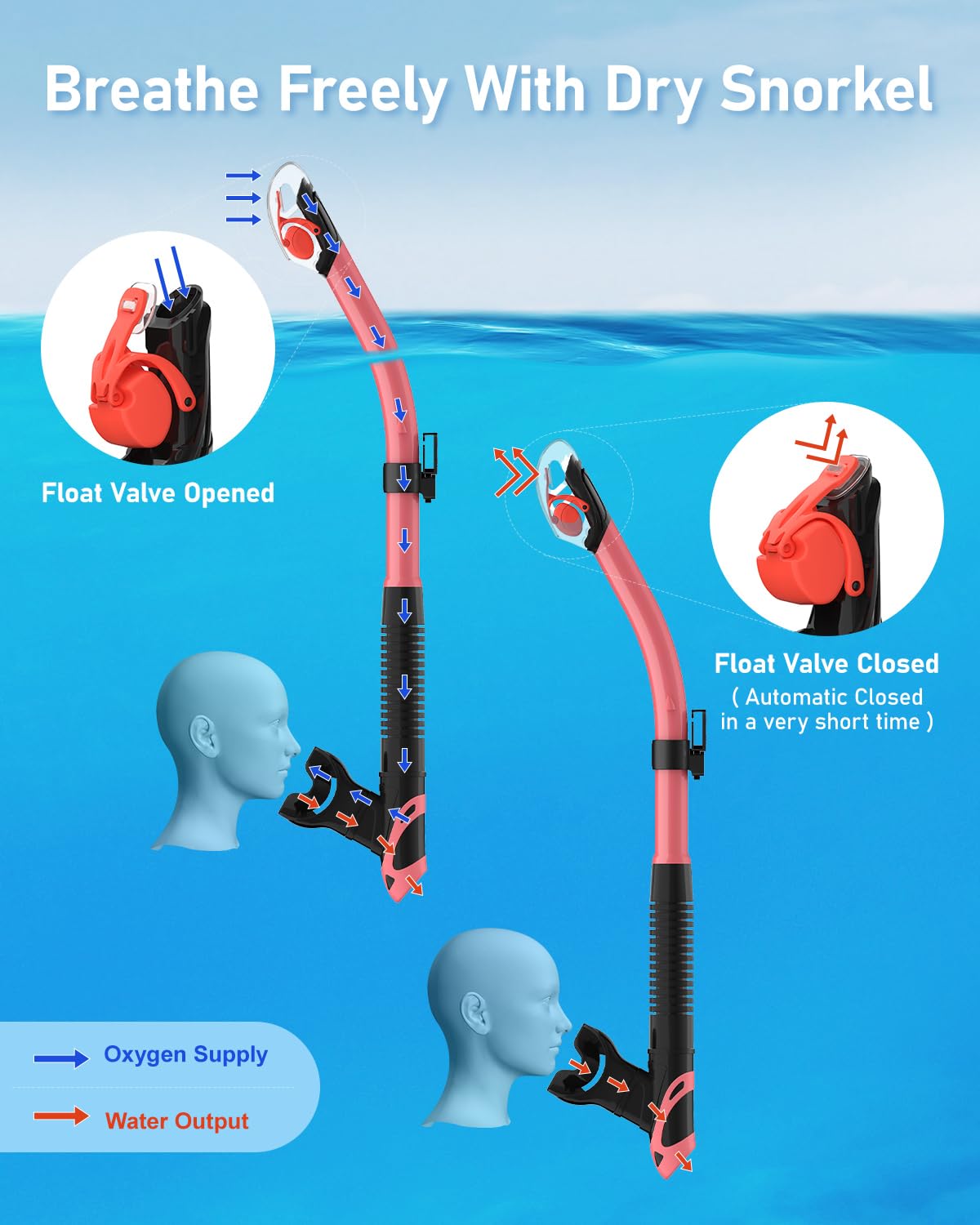 Fawater Dry Snorkel Set with Anti-Fog Mask