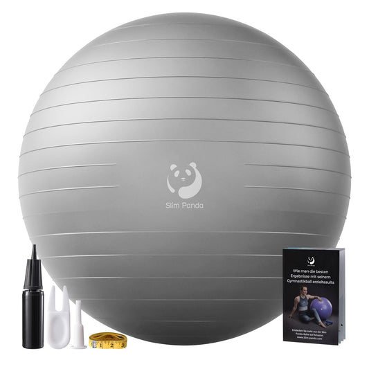 Exercise Ball for Fitness and Therapy by Slim Panda