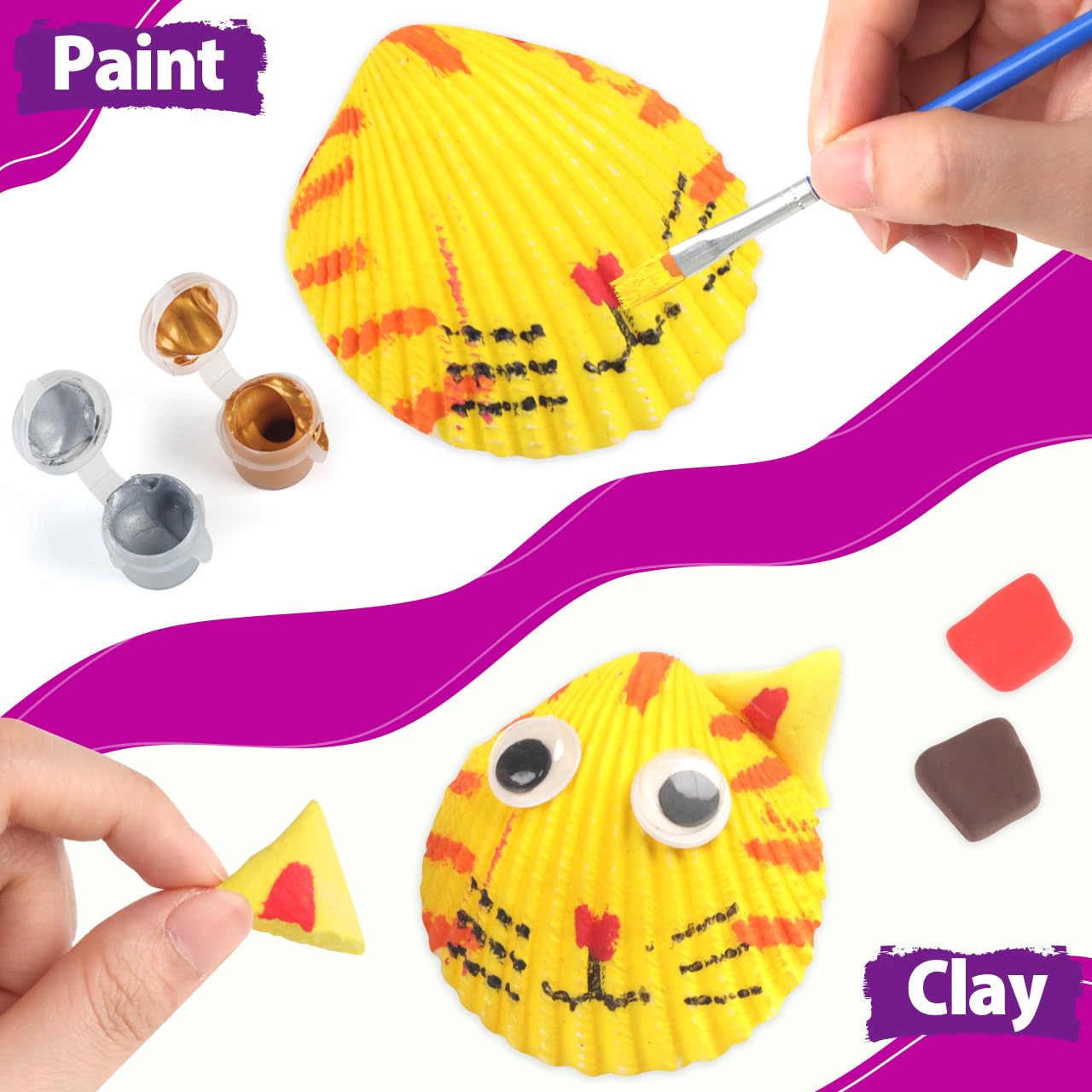 Sea Shell Painting Kit for Kids - RMJOY