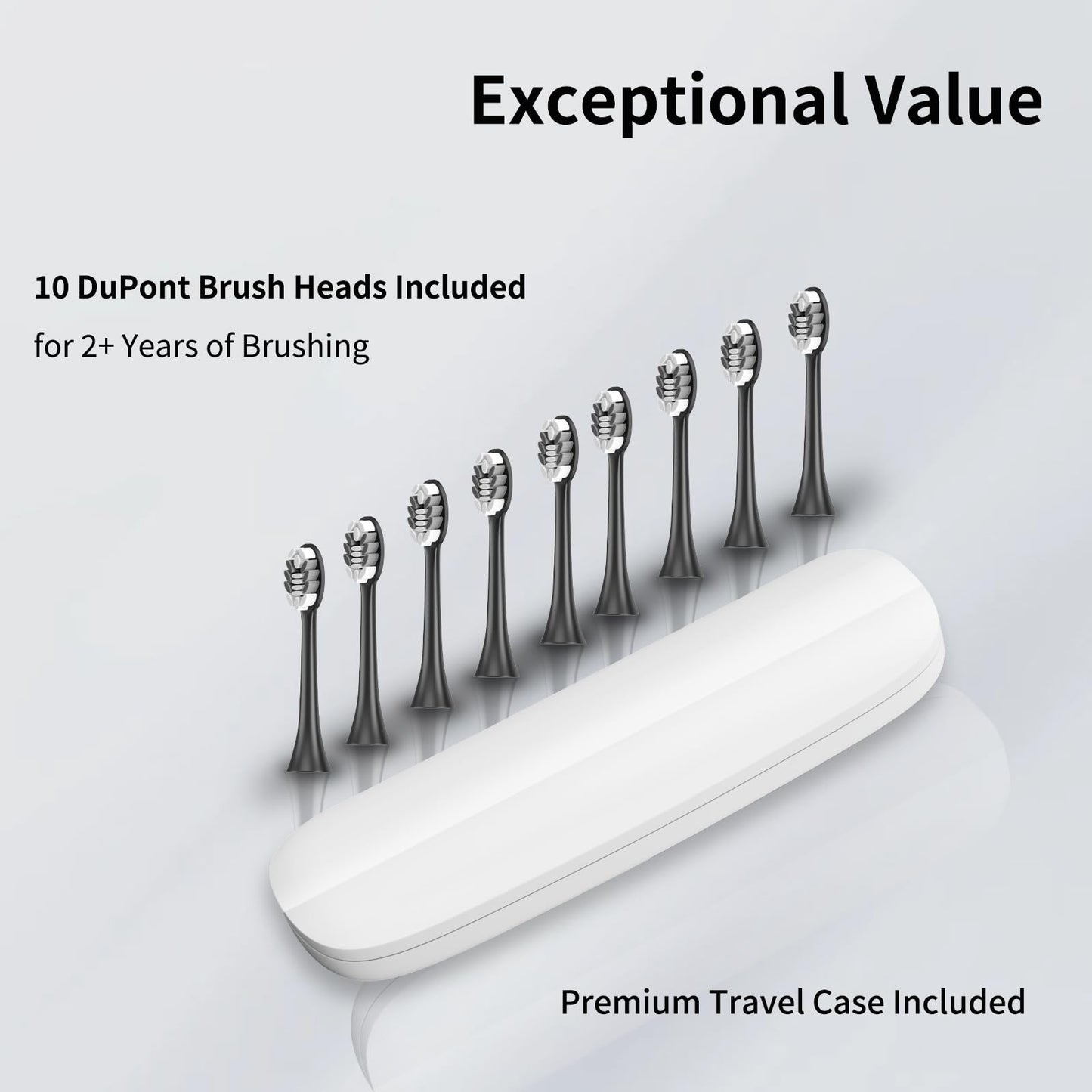 Electric Toothbrush Set with 10 Brush Heads