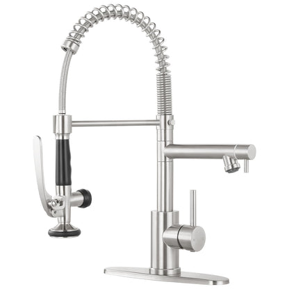 Dual Spout Kitchen Faucet with Pull Down Sprayer