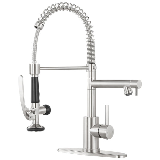 Dual Spout Kitchen Faucet with Pull Down Sprayer
