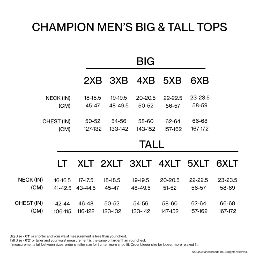 Champion Men's Powerblend Fleece Hoodie Sweatshirt