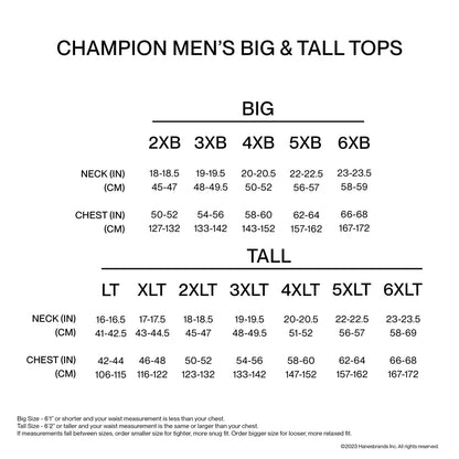 Champion Men's Powerblend Fleece Hoodie Sweatshirt