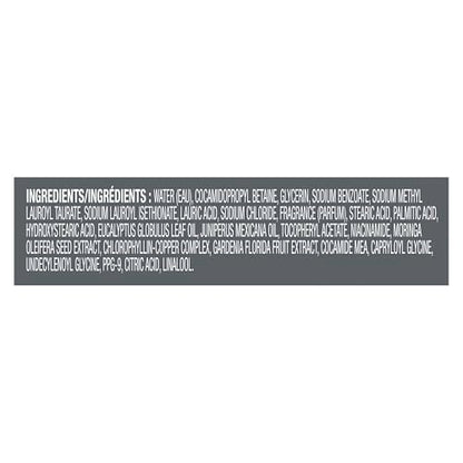 DOVE MEN + CARE Eucalyptus Cedar Body Wash 26 oz