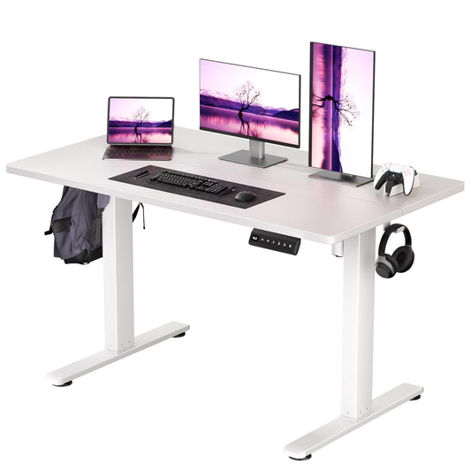 CROWNFURN Adjustable Electric Standing Desk 48x24