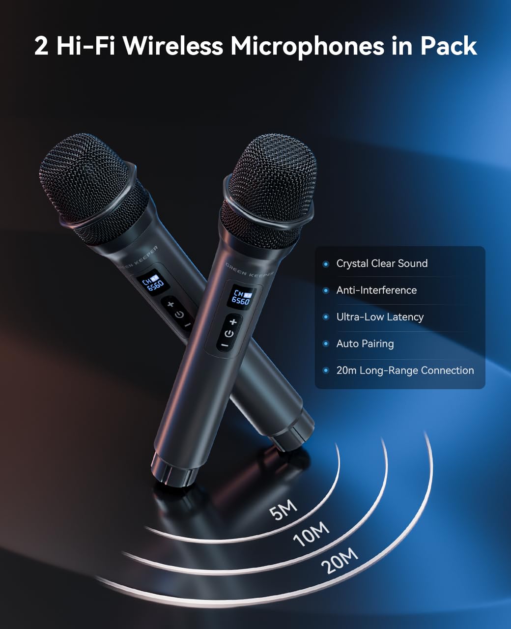 Portable Bluetooth Karaoke Machine with 2 Microphones