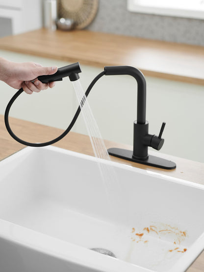 JOOM Black Pull Down Kitchen Faucet with Sprayer