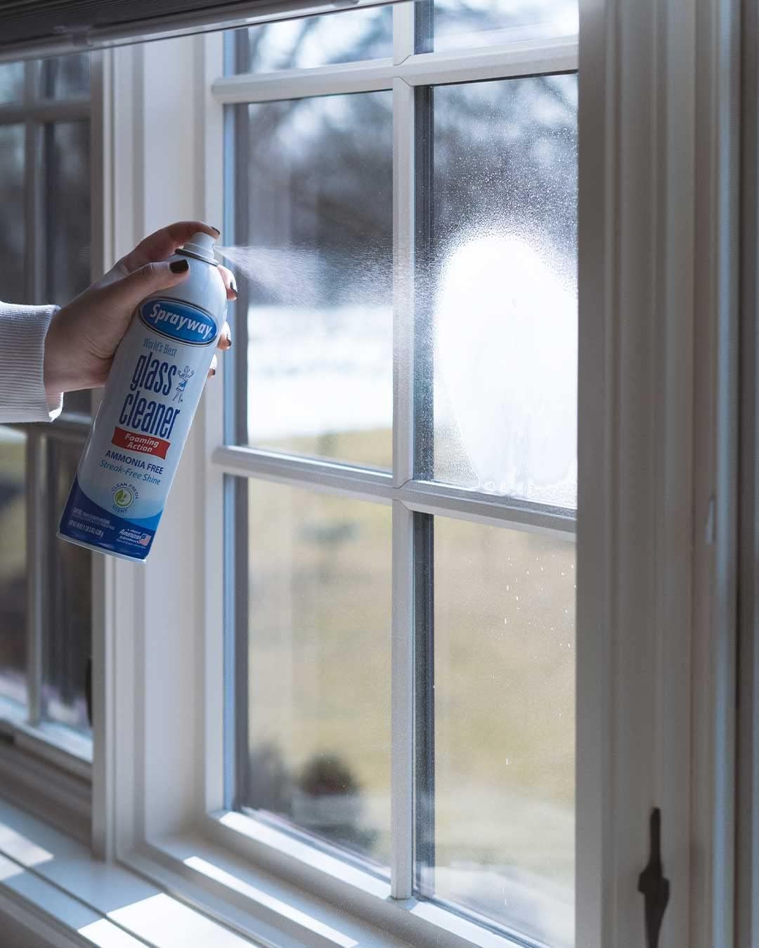 Sprayway Glass Cleaner Foaming Spray 19 oz, 6 Pack