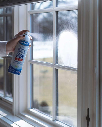 Sprayway Glass Cleaner Foaming Spray 19 oz, 6 Pack