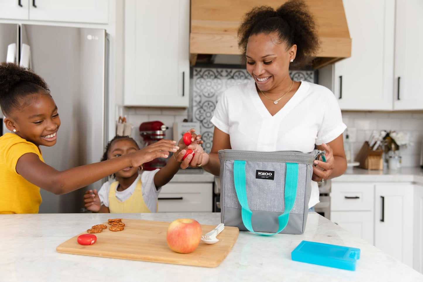 2 Pack Igloo Maxcold Ice Blocks