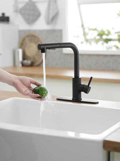 JOOM Black Pull Down Kitchen Faucet with Sprayer