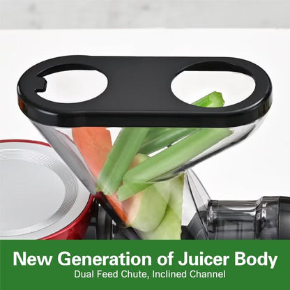 Cold Press Juicer for Fruits and Vegetables