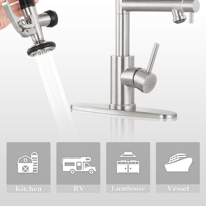 Dual Spout Kitchen Faucet with Pull Down Sprayer