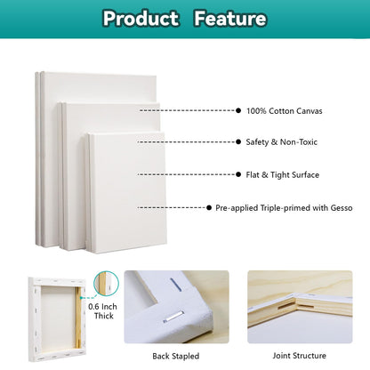 Acrylic Paint Set with Canvases and Easel
