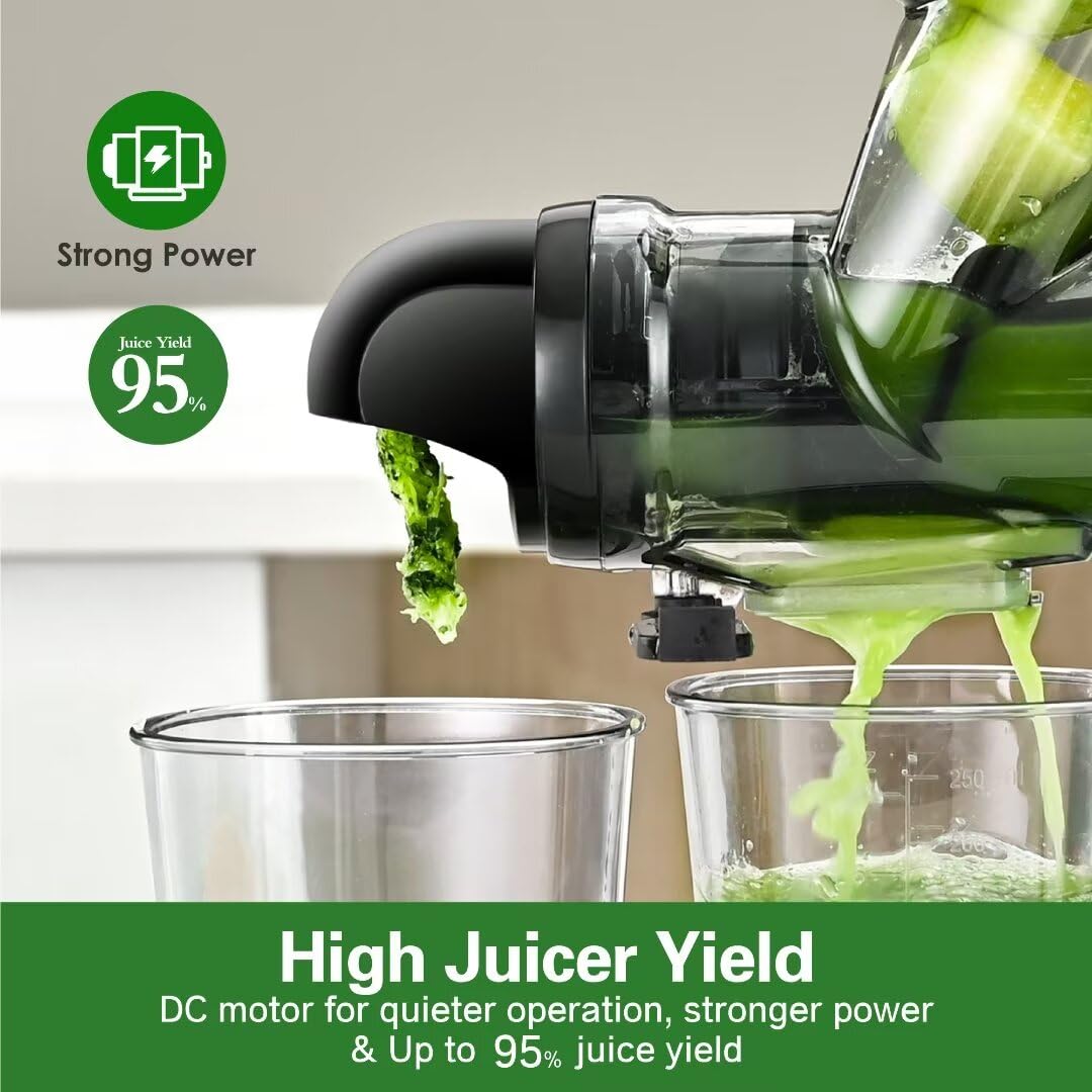 Cold Press Juicer for Fruits and Vegetables