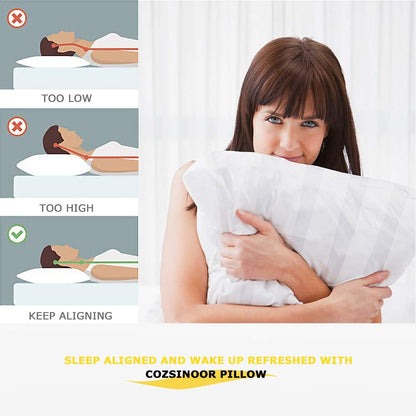COZSINOOR Cozy Dream Bed Pillows Pack of 4