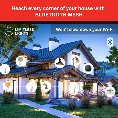 Sengled Smart Light Bulb with Alexa Compatibility