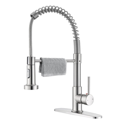Durable Pull Down Kitchen Faucet with Sprayer